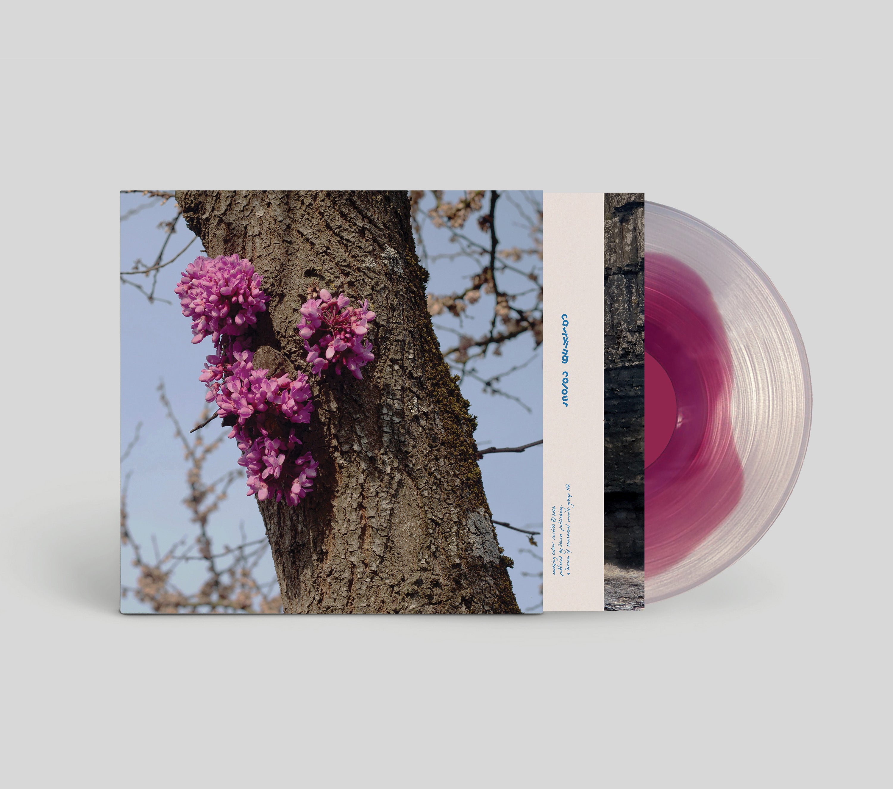 Duval Timothy - Meeting with a Judas Tree - Vinyl